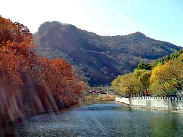 澳彩资料免费长期公开，除油器